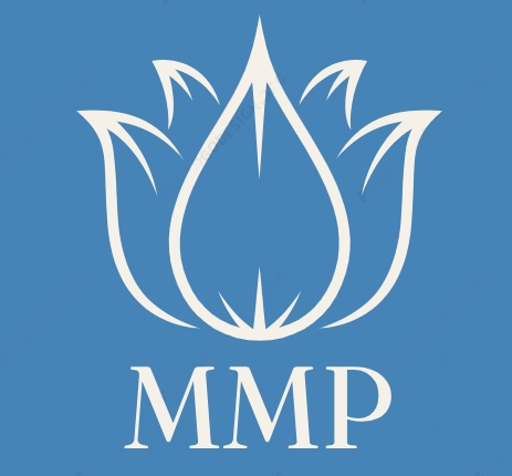 The Micro-Grant Mentorship Project